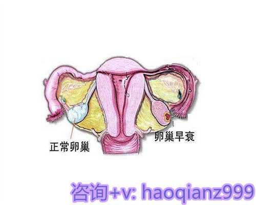 深圳供卵代怀咨询,深圳第三代试管私立医院排行榜前十整理，附医院特色介绍