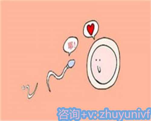 试管婴儿可以让别人代生吗,卵巢储备告急？深圳试管促卵泡不长，3 招激活 “.活力”