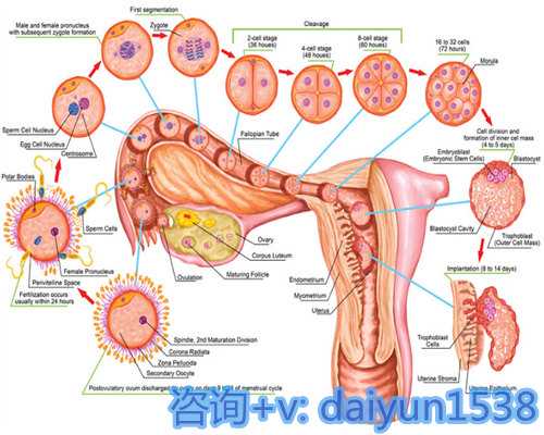 深圳最靠谱的三家试管医院推荐，三代试管费用会不会很贵？