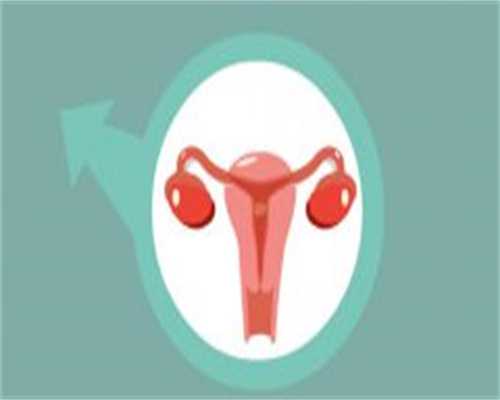 深圳代生代怀试管中心,单身女性在深圳做试管婴儿的费用，2026年费用透明