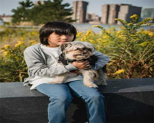 供卵助孕多少钱,2026年第三代试管婴儿费用明细:深圳地区详细解析